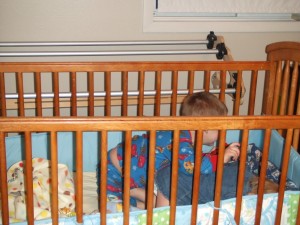 they kept climbing in and wrestling and laughing!